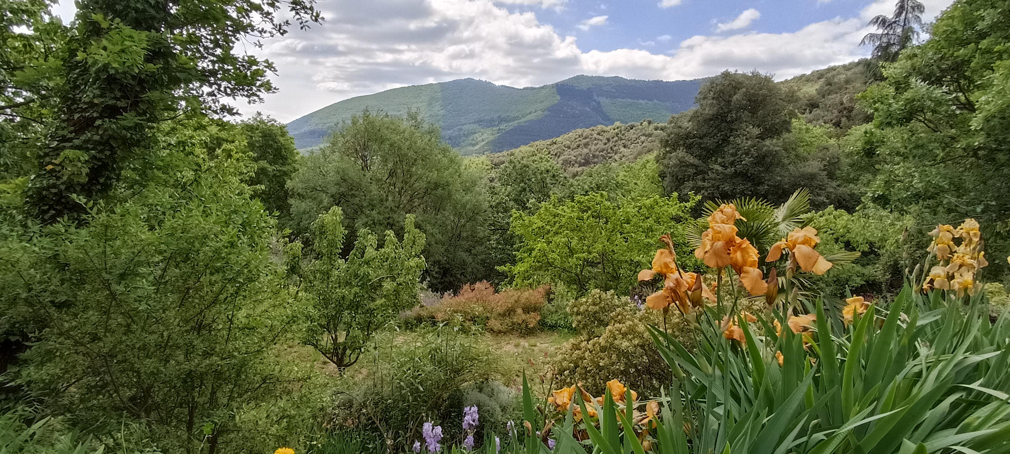 Vue depuis le jardin