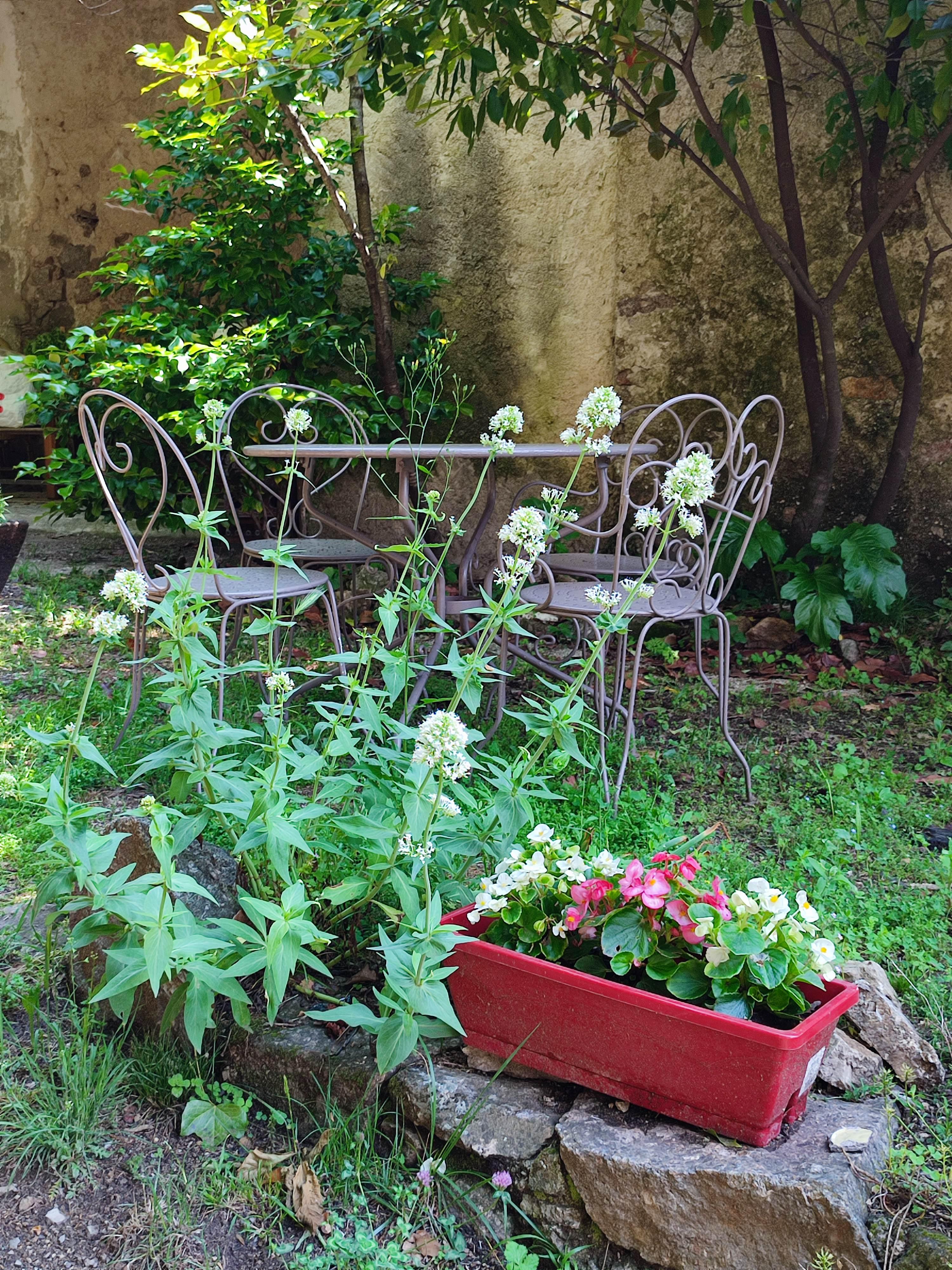 La terrasse du gîte