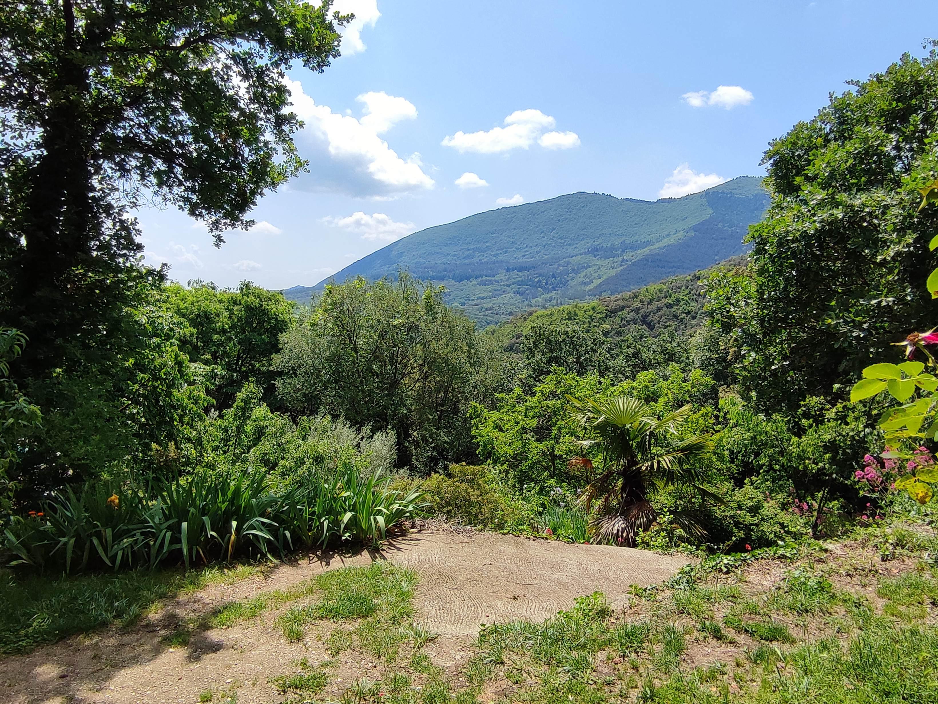 Vue depuis le gîte