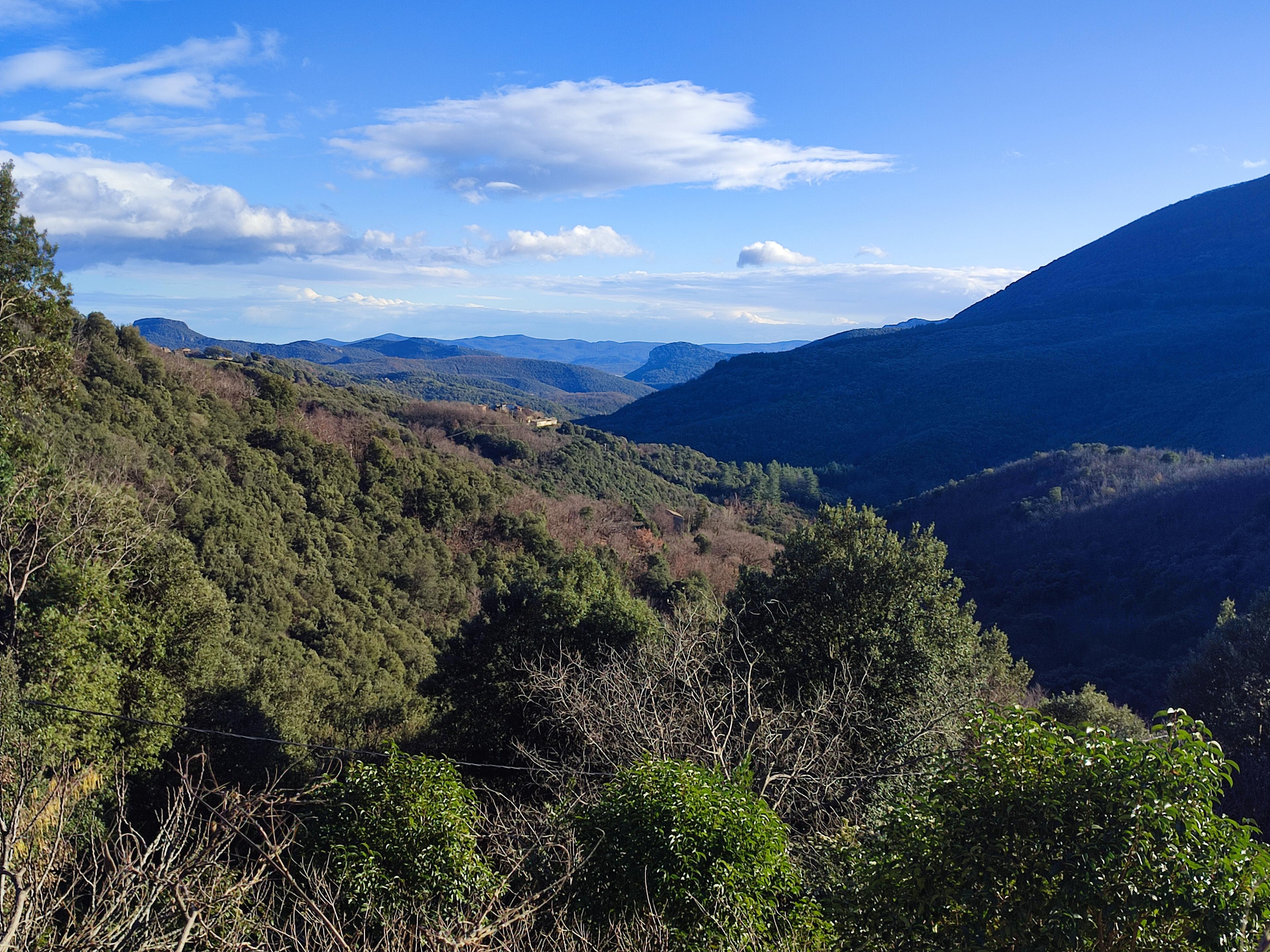 La vue depuis la chambre